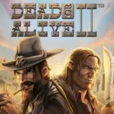 Dead or Alive 2 slot